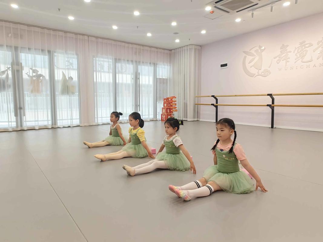 舞霓裳 用心教學(xué)，用愛育人，弘揚(yáng)中國傳統(tǒng)舞蹈之美